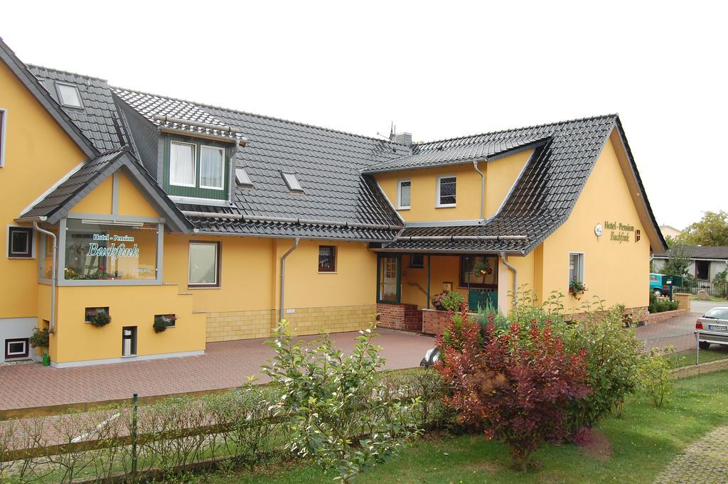 Pension Buchfink Иккериц Экстерьер фото